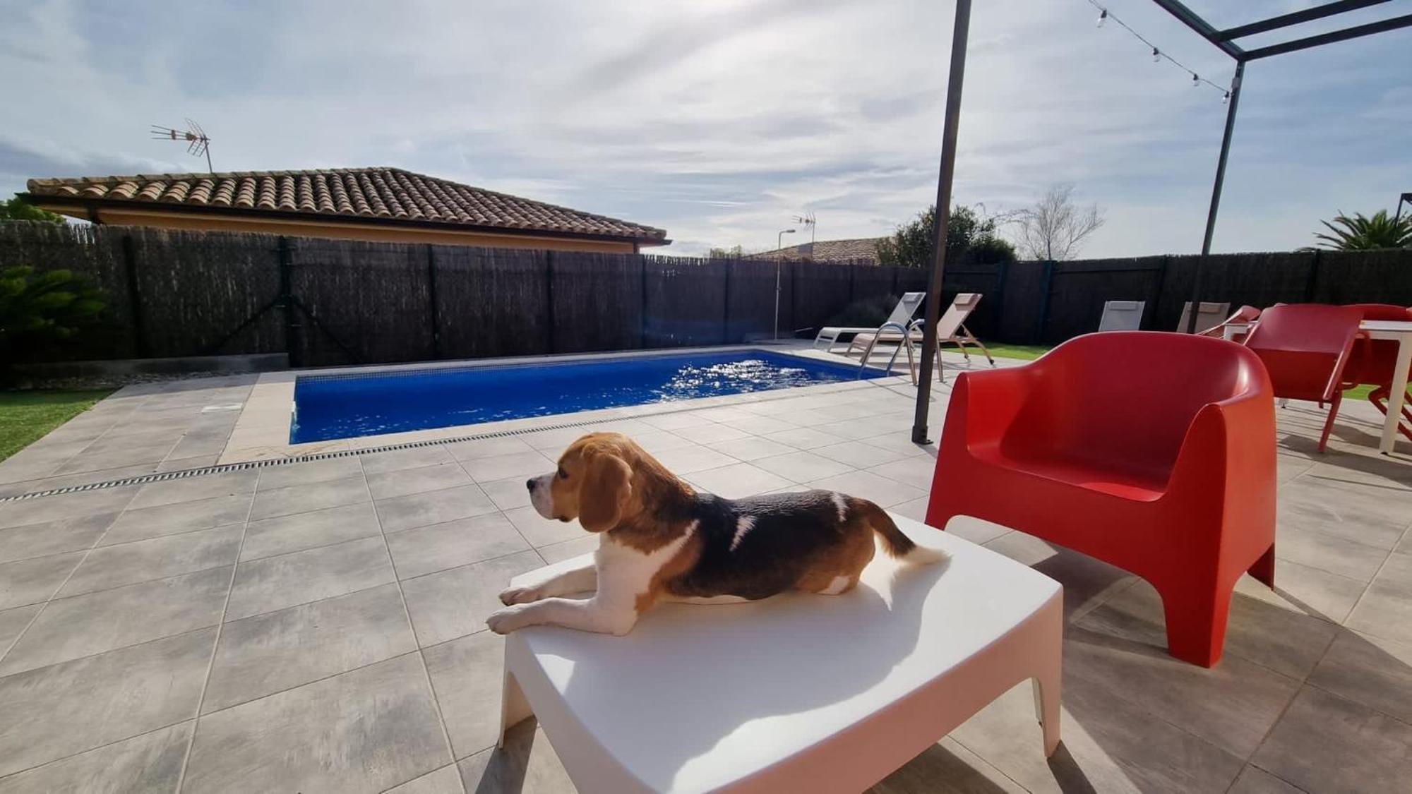 Villas Medes Mar - Plus Costa Brava Л'Эстартит Экстерьер фото