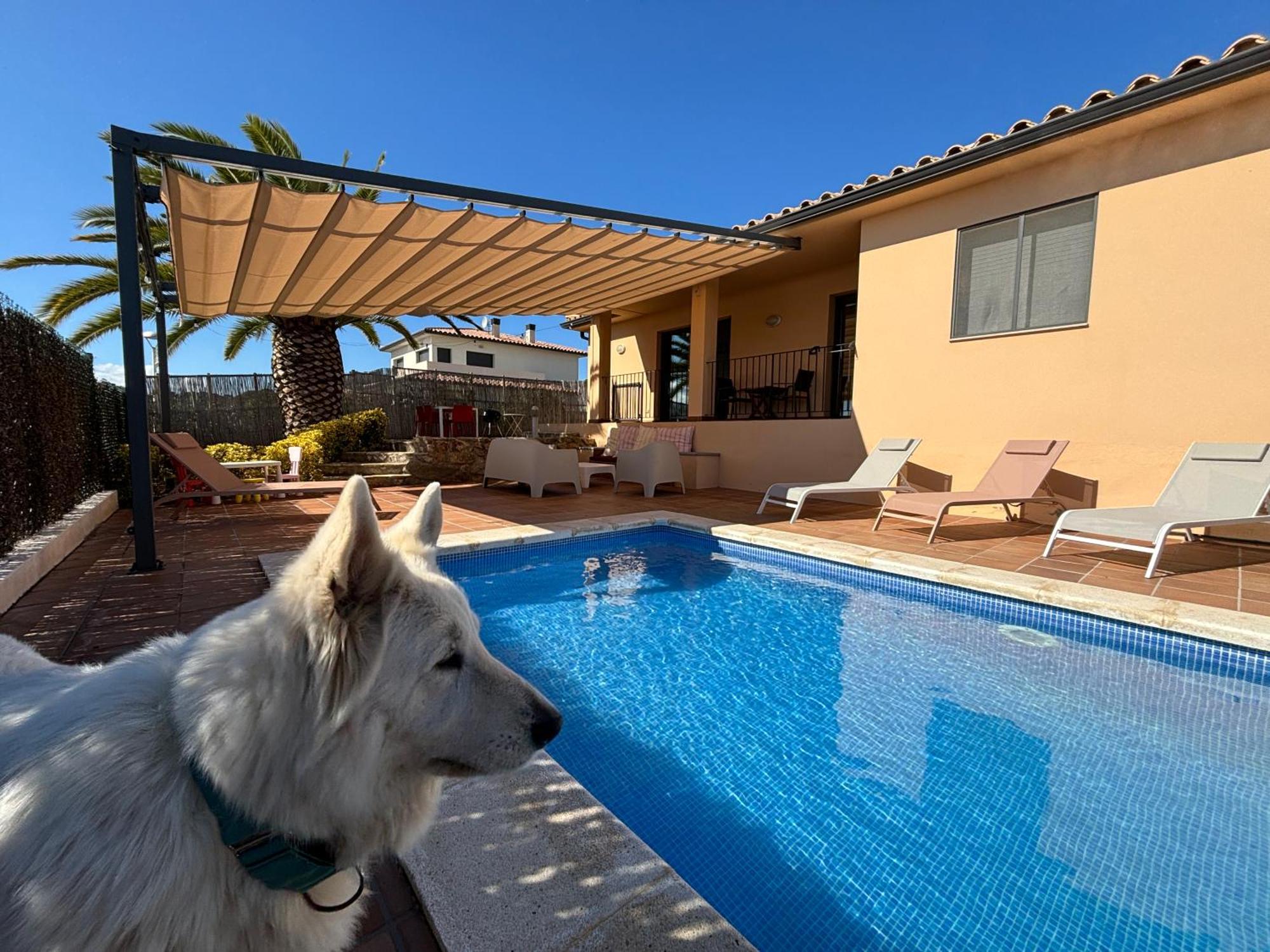 Villas Medes Mar - Plus Costa Brava Л'Эстартит Экстерьер фото